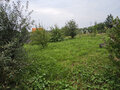 Продажа садового участка: г. Ревда, СОНТ 7, ул. 3-я (городской округ Ревда) - Фото 3