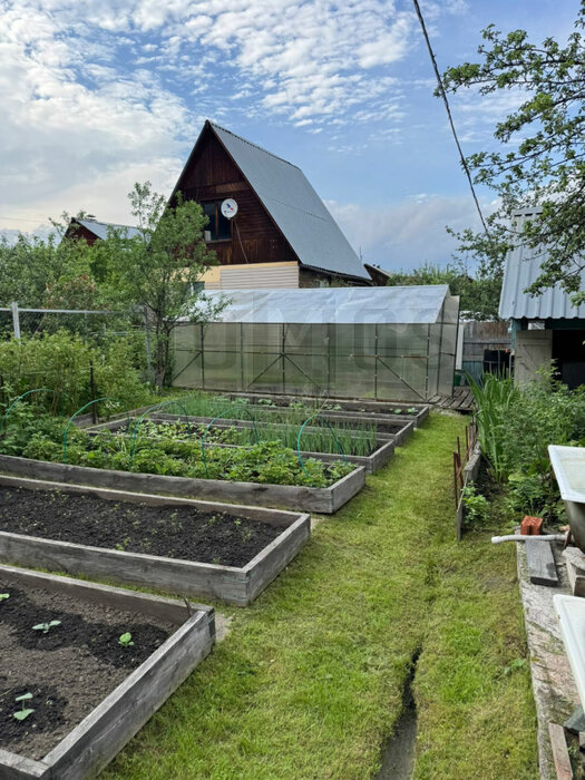 п. Санаторный, СНТ Искра-52 (городской округ Верхняя Пышма) - фото сада (8)