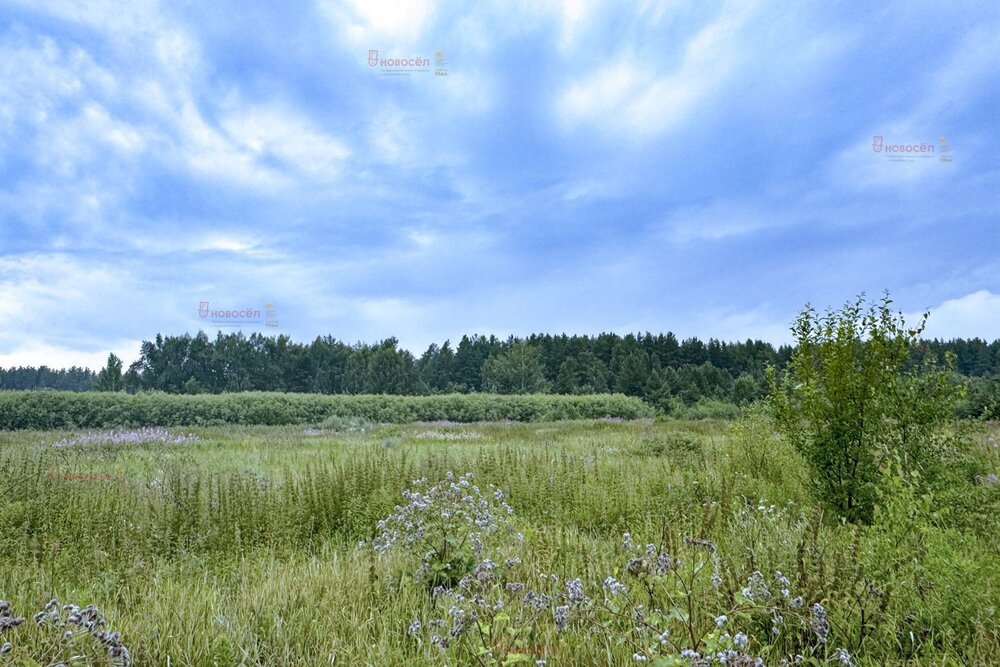 Екатеринбург, ул. Удачная - фото земельного участка (2)