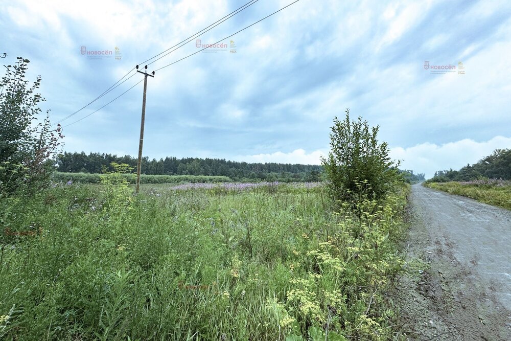 Екатеринбург, ул. Удачная - фото земельного участка (4)