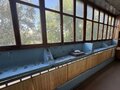 Продажа квартиры: Екатеринбург, ул. Новгородцевой, 17 (ЖБИ) - Фото 6