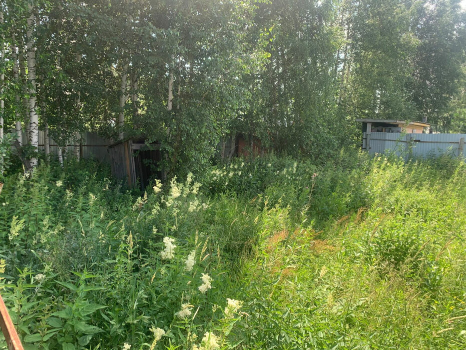 с. Балтым, ул. СНТ Восточное, 96 (городской округ Верхняя Пышма) - фото земельного участка (1)