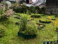 Продажа садового участка: г. Первоуральск, снт 44 (городской округ Первоуральск) - Фото 3