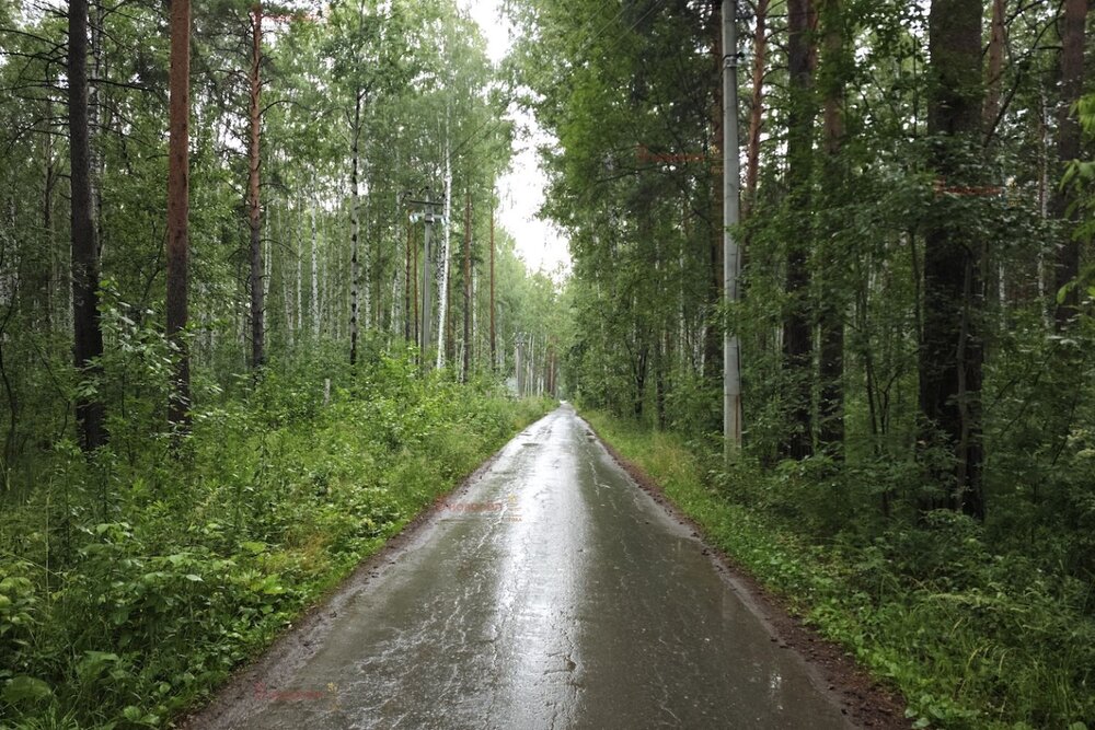 п. Ромашка, ул. Озерная (городской округ Верхняя Пышма) - фото земельного участка (2)