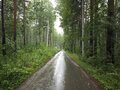 Продажа земельного участка коммерческого назначения: п. Ромашка, ул. Озерная (городской округ Верхняя Пышма) - Фото 2