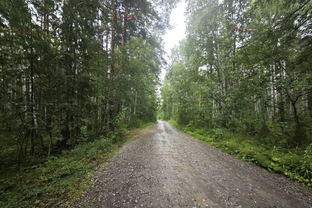 п. Ромашка, ул. Озерная (городской округ Верхняя Пышма) - фото земельного участка (3)