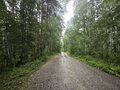 Продажа земельного участка коммерческого назначения: п. Ромашка, ул. Озерная (городской округ Верхняя Пышма) - Фото 3