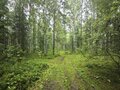 Продажа земельного участка коммерческого назначения: п. Ромашка, ул. Озерная (городской округ Верхняя Пышма) - Фото 5