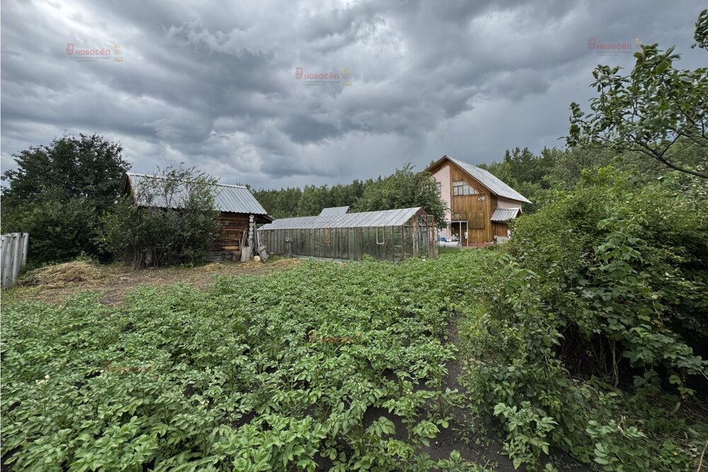 д. Шиши, к/с Мечта (городской округ Белоярский) - фото сада (6)