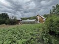 Продажа садового участка: д. Шиши, к/с Мечта (городской округ Белоярский) - Фото 6