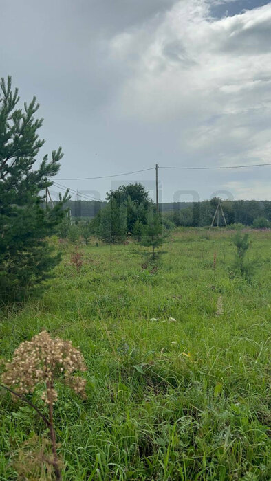 п. Октябрьский (г.о. Сысертский), ул. Чапаева (городской округ Сысертский) - фото земельного участка (3)