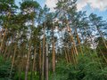 Продажа коттеджей: г. Березовский, ул. Комсомольская , 28 А (городской округ Березовский) - Фото 3