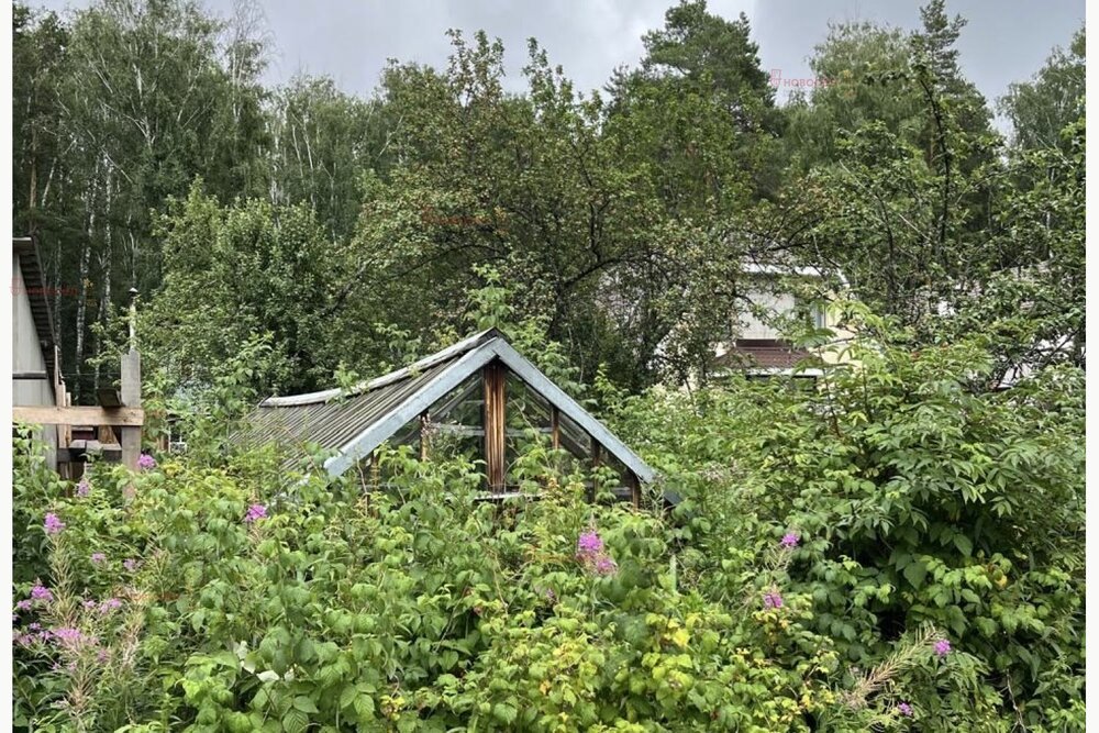 Екатеринбург, КС Берёзовая Роща, уч. 36 (Лечебный) - фото сада (1)