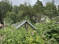 Продажа садового участка: Екатеринбург, КС Берёзовая Роща, уч. 36 (Лечебный) - Фото 1