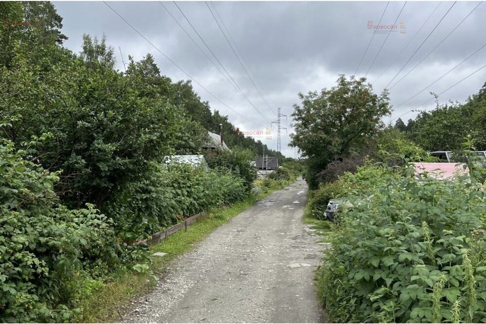 Екатеринбург, КС Берёзовая Роща, уч. 36 (Лечебный) - фото сада (5)