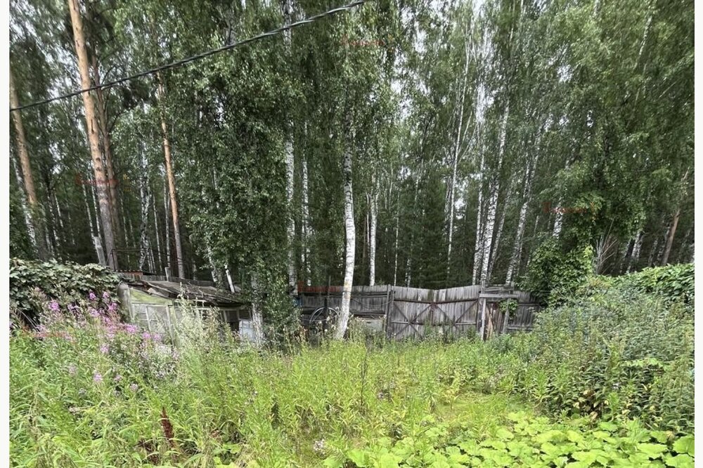 Екатеринбург, КС Берёзовая Роща, уч. 36 (Лечебный) - фото сада (6)
