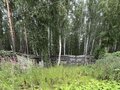 Продажа садового участка: Екатеринбург, КС Берёзовая Роща, уч. 36 (Лечебный) - Фото 6