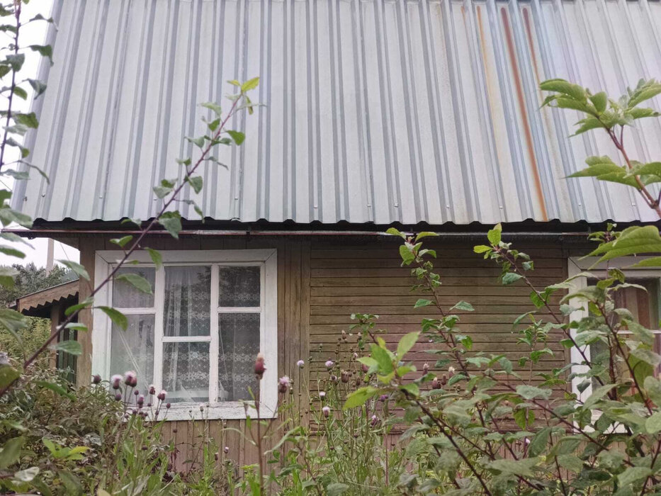 г. Первоуральск, к/с СНТ, уч. 55 (городской округ Первоуральск) - фото сада (2)