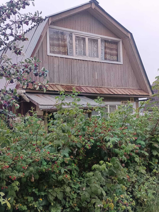 г. Первоуральск, к/с СНТ, уч. 55 (городской округ Первоуральск) - фото сада (3)