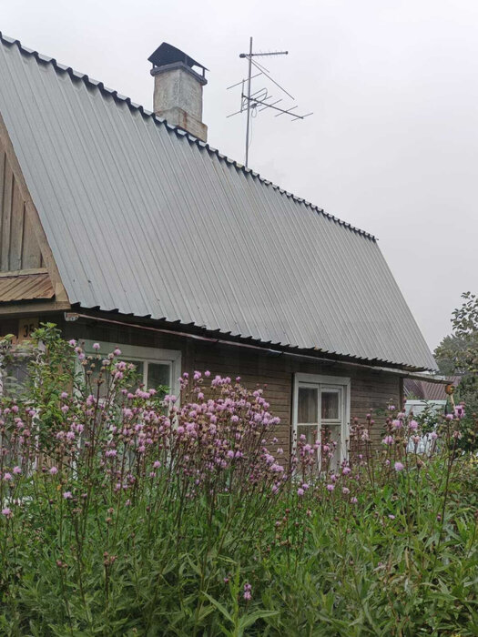 г. Первоуральск, к/с СНТ, уч. 55 (городской округ Первоуральск) - фото сада (4)