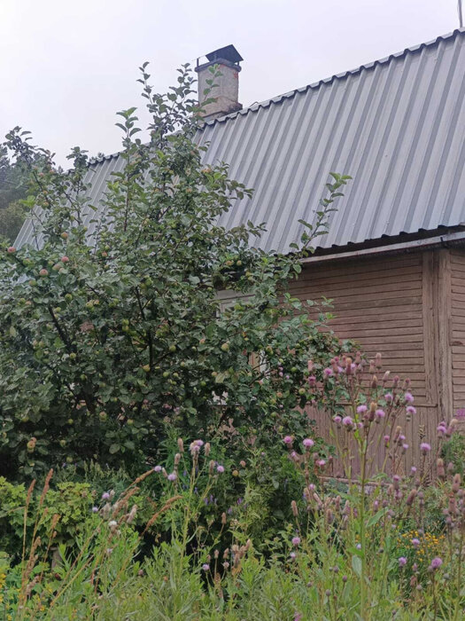 г. Первоуральск, к/с СНТ, уч. 55 (городской округ Первоуральск) - фото сада (6)