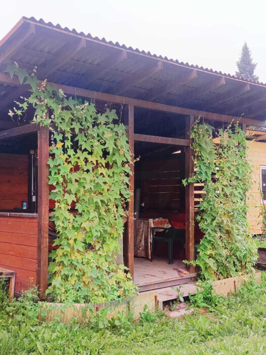 пгт. Билимбай, СНТ Бэзскид (городской округ Первоуральск) - фото сада (6)
