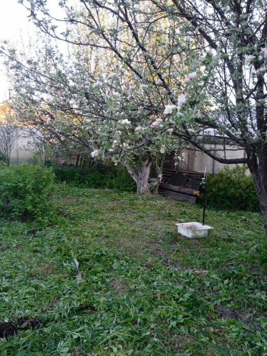 г. Нижний Тагил, СНТ Старатель № 1-2, ул. Старатель, Мичурина (городской округ Нижний Тагил) - фото сада (3)
