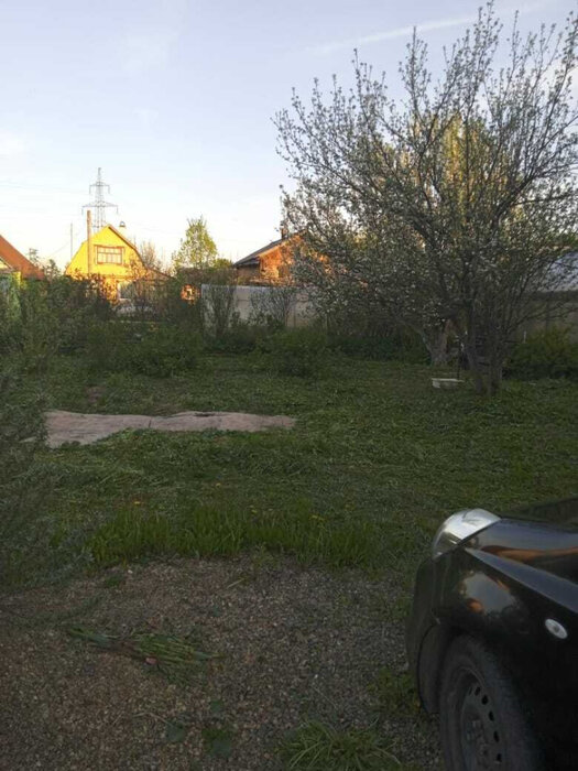 г. Нижний Тагил, СНТ Старатель № 1-2, ул. Старатель, Мичурина (городской округ Нижний Тагил) - фото сада (4)
