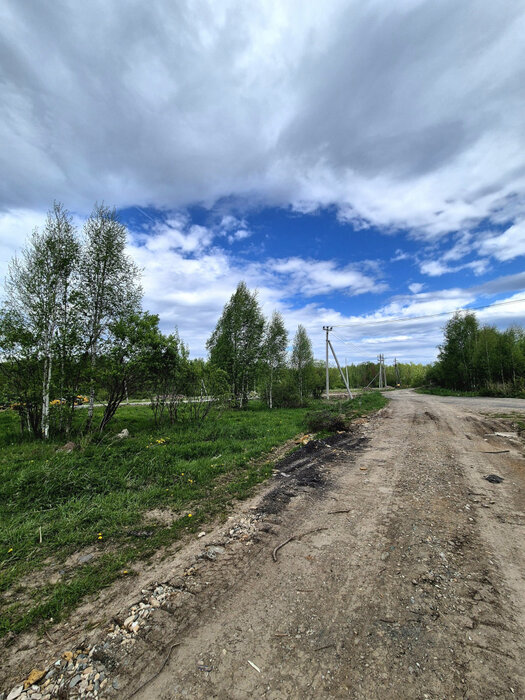с. Новоалексеевское (городской округ Первоуральск) - фото земельного участка (3)