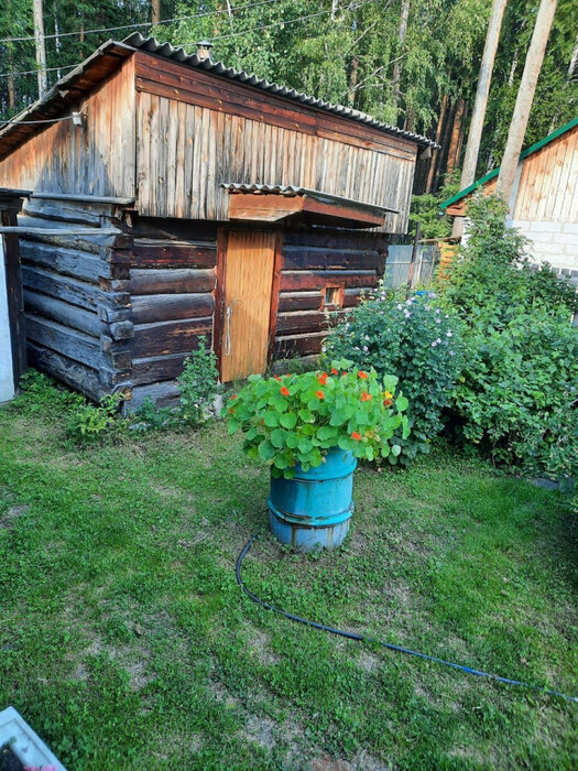 Екатеринбург, снт. Горняк-2 , уч. 8 - фото сада (5)