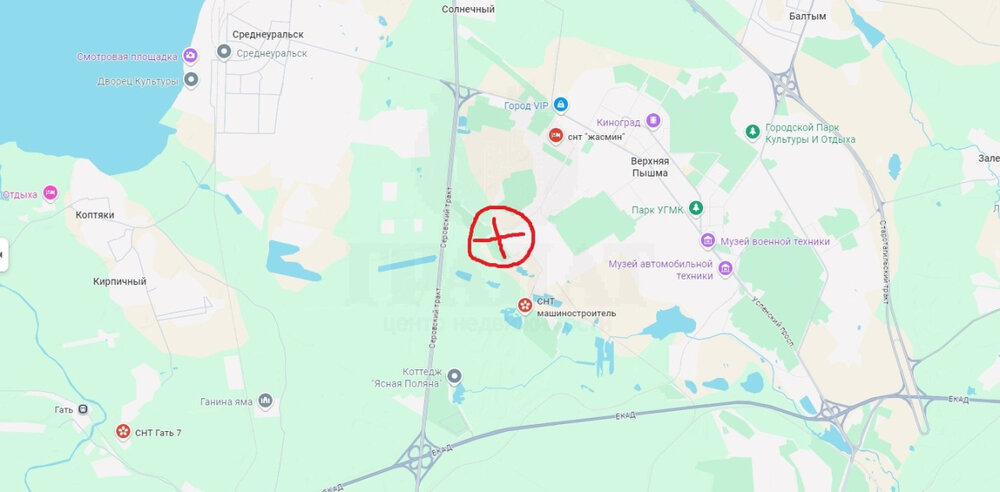 г. Верхняя Пышма, СНТ № 100, уч. 100 (городской округ Верхняя Пышма) - фото сада (1)