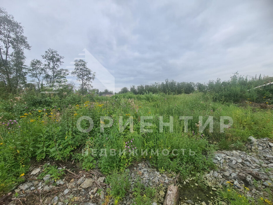 Екатеринбург, ул. Редколесья (Полеводство) - фото земельного участка (3)
