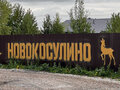 Продажа земельного участка: к.п. Новокосулино, ул. 1-я Линия (городской округ Белоярский) - Фото 1