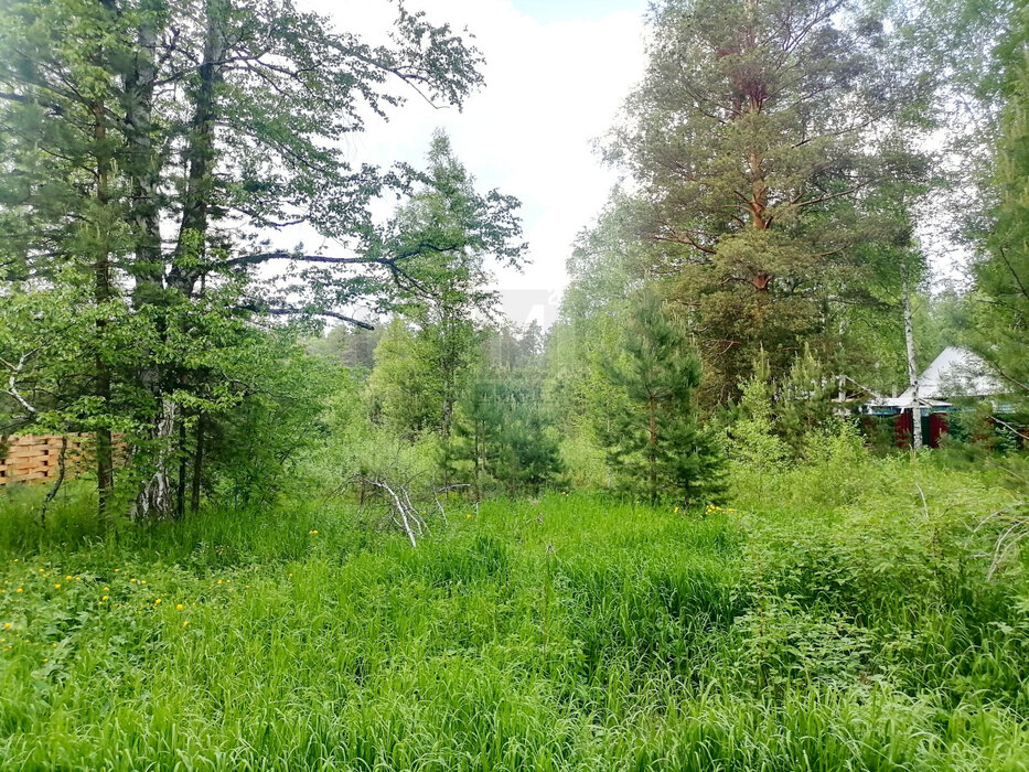с. Кунгурка, ул. Колхозная, 15 (городской округ Ревда) - фото земельного участка (2)