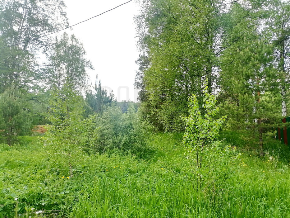 с. Кунгурка, ул. Колхозная, 15 (городской округ Ревда) - фото земельного участка (4)