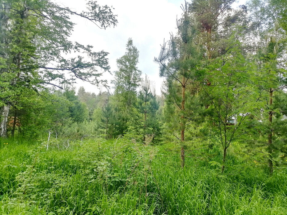 с. Кунгурка, ул. Колхозная, 15 (городской округ Ревда) - фото земельного участка (8)