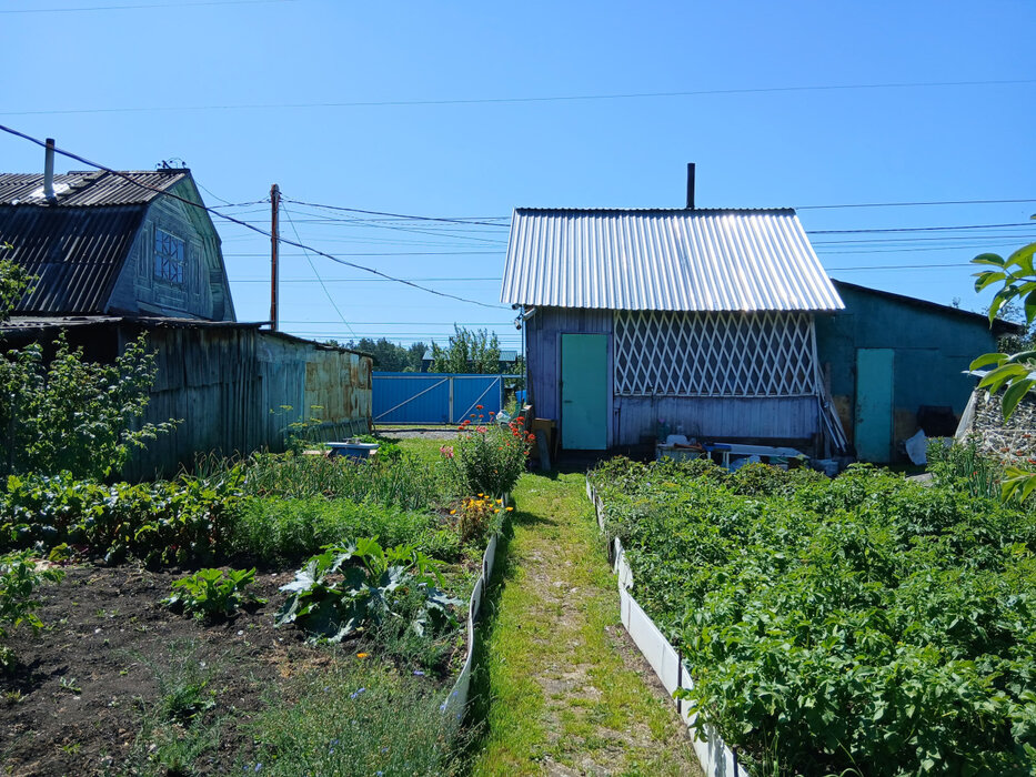 Екатеринбург, СНТ Жилищник-3 - фото сада (2)
