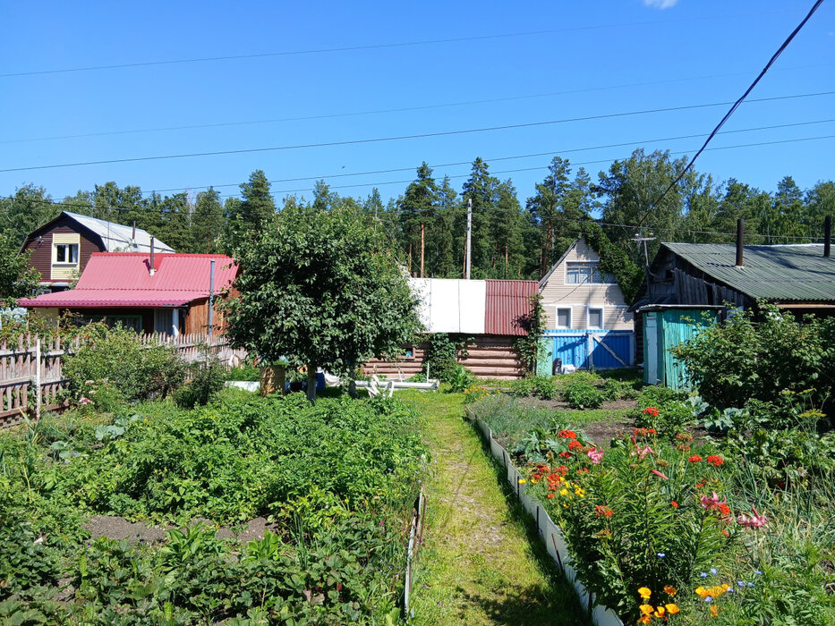 Екатеринбург, СНТ Жилищник-3 - фото сада (5)