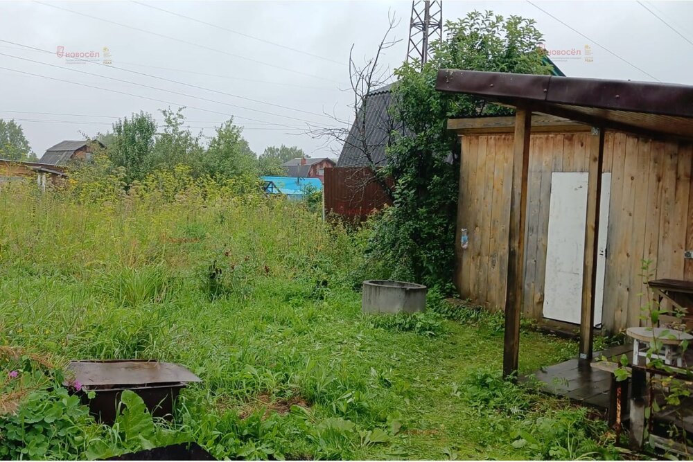 Екатеринбург, С/Т НИВА, уч. 125 - фото сада (2)