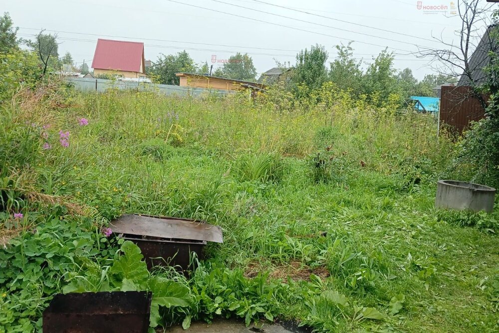 Екатеринбург, С/Т НИВА, уч. 125 - фото сада (3)