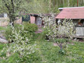 Продажа садового участка: Екатеринбург, снт. Ново-Свердловский  - Фото 3
