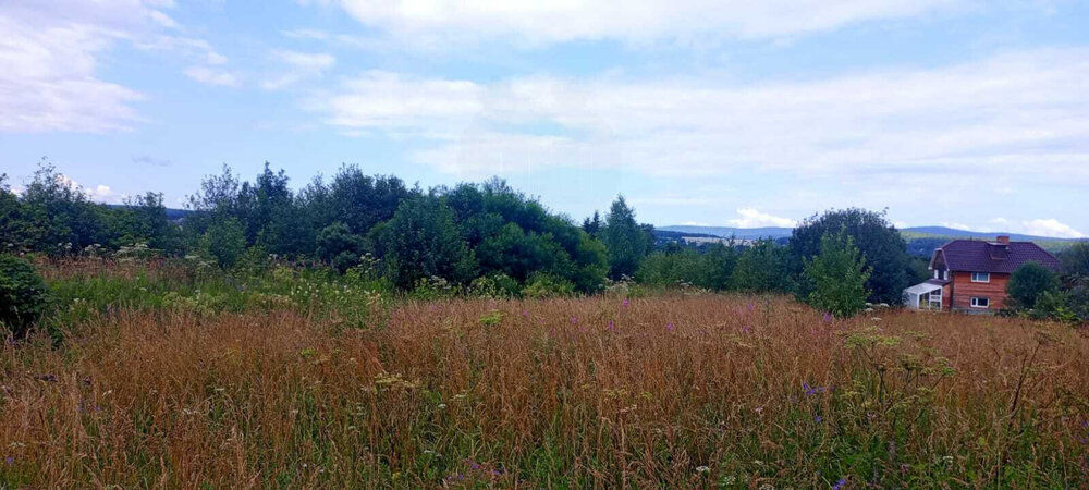 г. Верхний Тагил, ул. Демьяна Бедного, 43 (городской округ Верхний Тагил) - фото земельного участка (1)