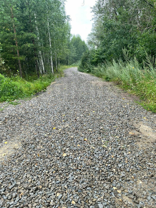 с. Логиново (городской округ Белоярский) - фото земельного участка (2)