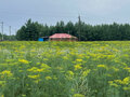Продажа земельного участка: с. Логиново (городской округ Белоярский) - Фото 6