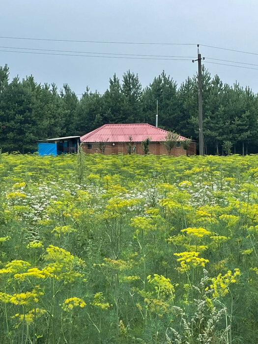 с. Логиново (городской округ Белоярский) - фото земельного участка (7)