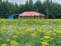 Продажа земельного участка: с. Логиново (городской округ Белоярский) - Фото 7