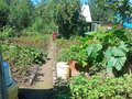 Продажа садового участка: Екатеринбург, Садовод 2 (Уралмаш) - Фото 5