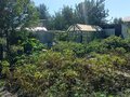 Продажа садового участка: Екатеринбург, Садовод 2 (Уралмаш) - Фото 8