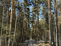 Продажа садового участка: г. Березовский, коллективный сад №28, участок №46 (городской округ Березовский) - Фото 1