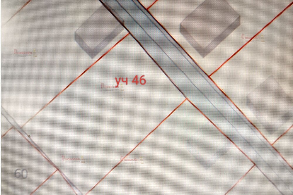 Екатеринбург, к/с Ручеек (Широкая речка) - фото сада (1)